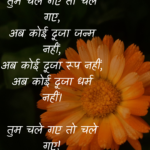 तुम चले गए तो चले गए