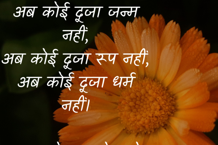 तुम चले गए तो चले गए