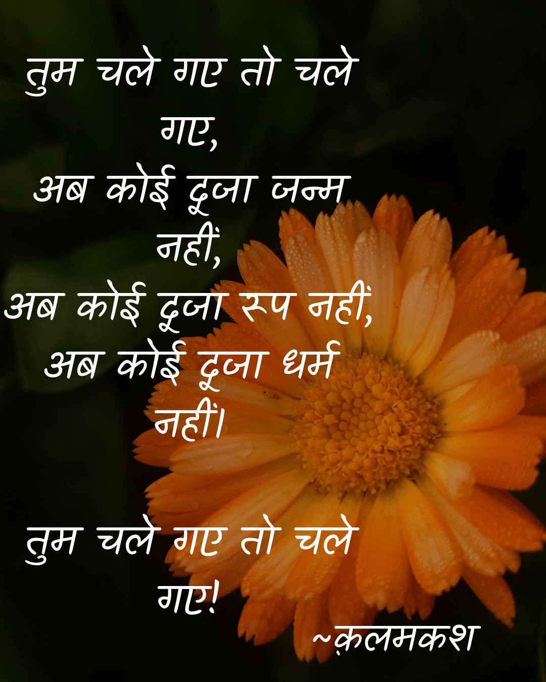 तुम चले गए तो चले गए